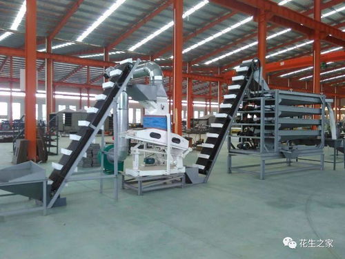 青島楓林花生機械 專業(yè)機械設(shè)備，驅(qū)動產(chǎn)業(yè)升級